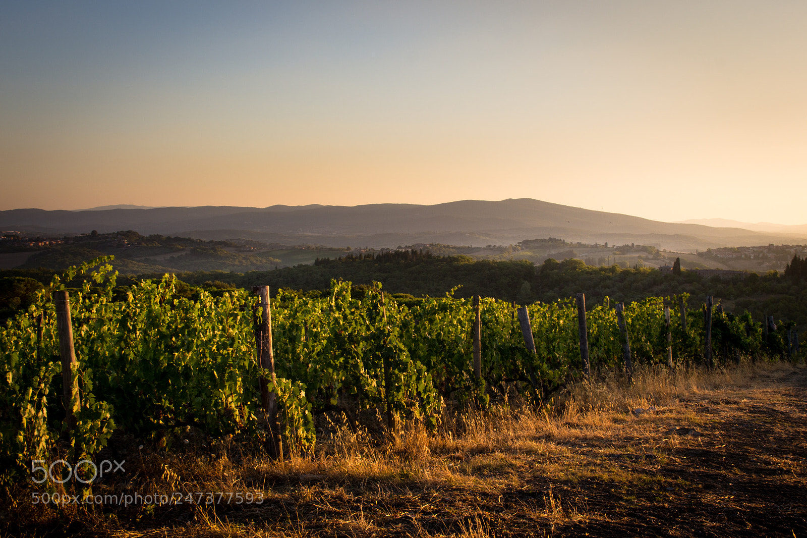 Canon EOS 700D (EOS Rebel T5i / EOS Kiss X7i) sample photo. Dusk in tuscany photography