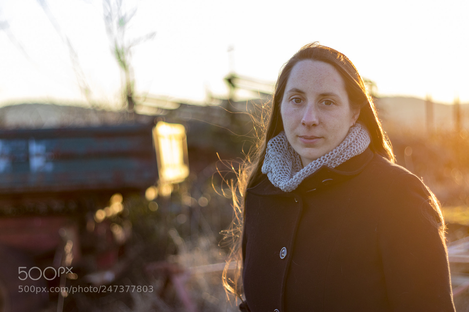 Canon EOS 80D sample photo. Cold magic hour photography