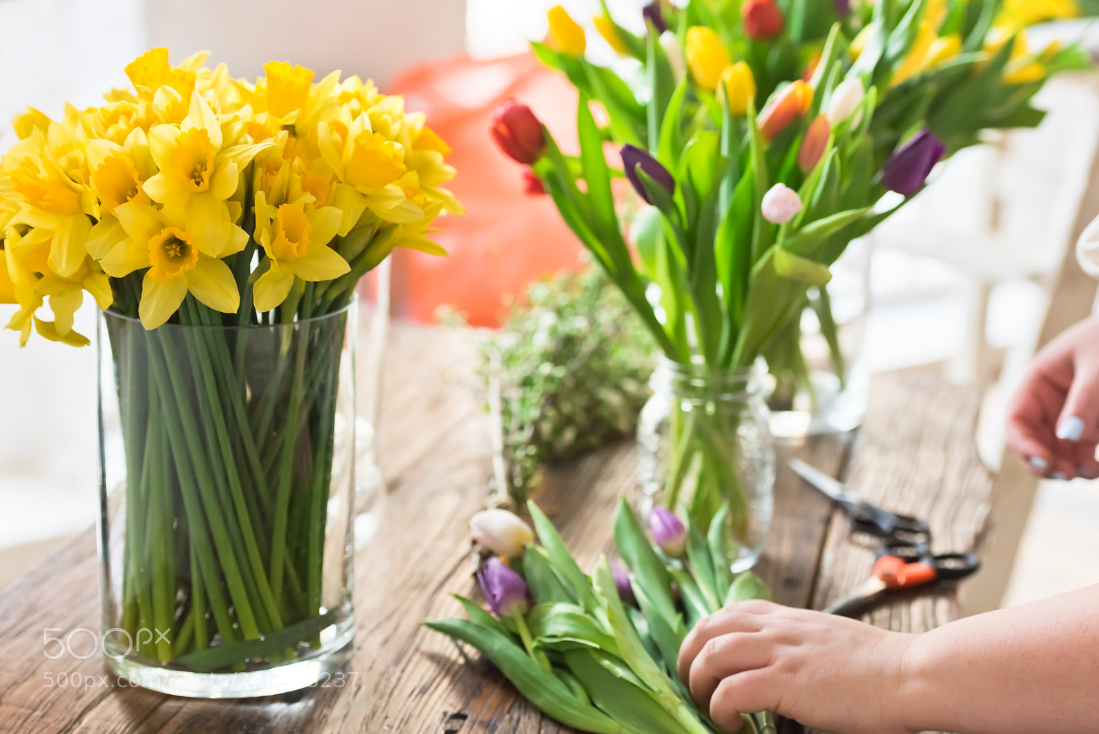 Nikon D810 sample photo. Spring flowers on a photography