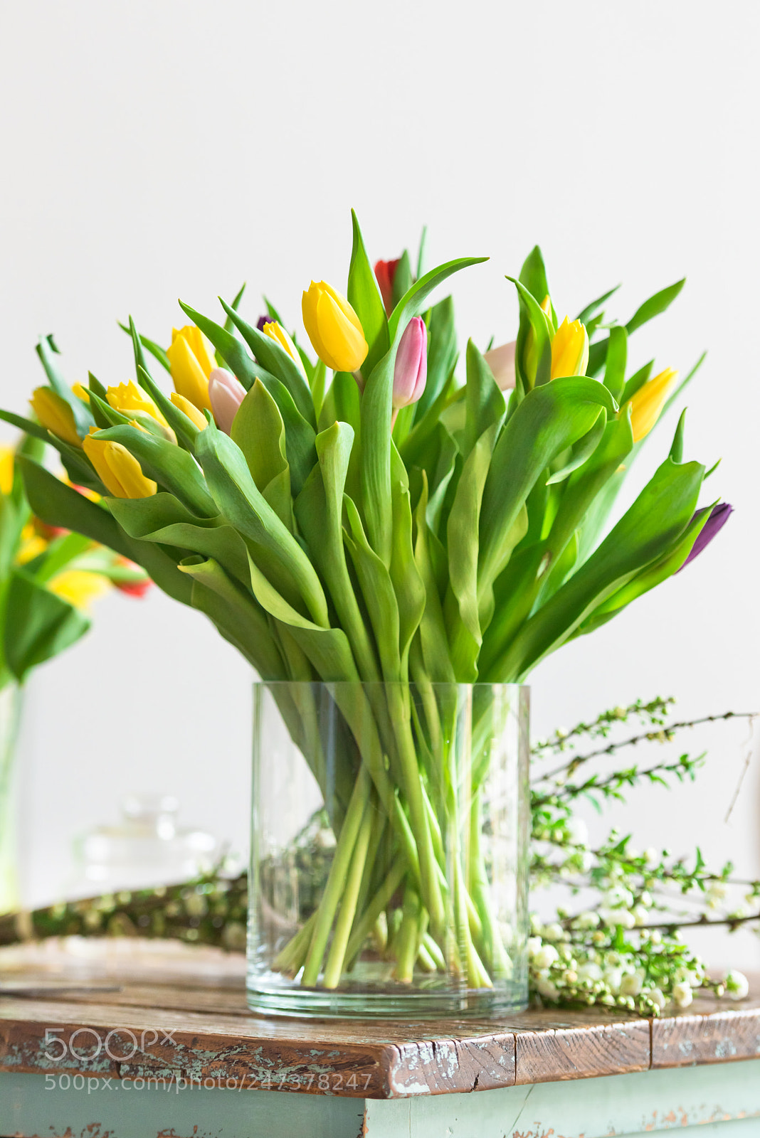Nikon D810 sample photo. Multicolored tulips flowers bouquet photography