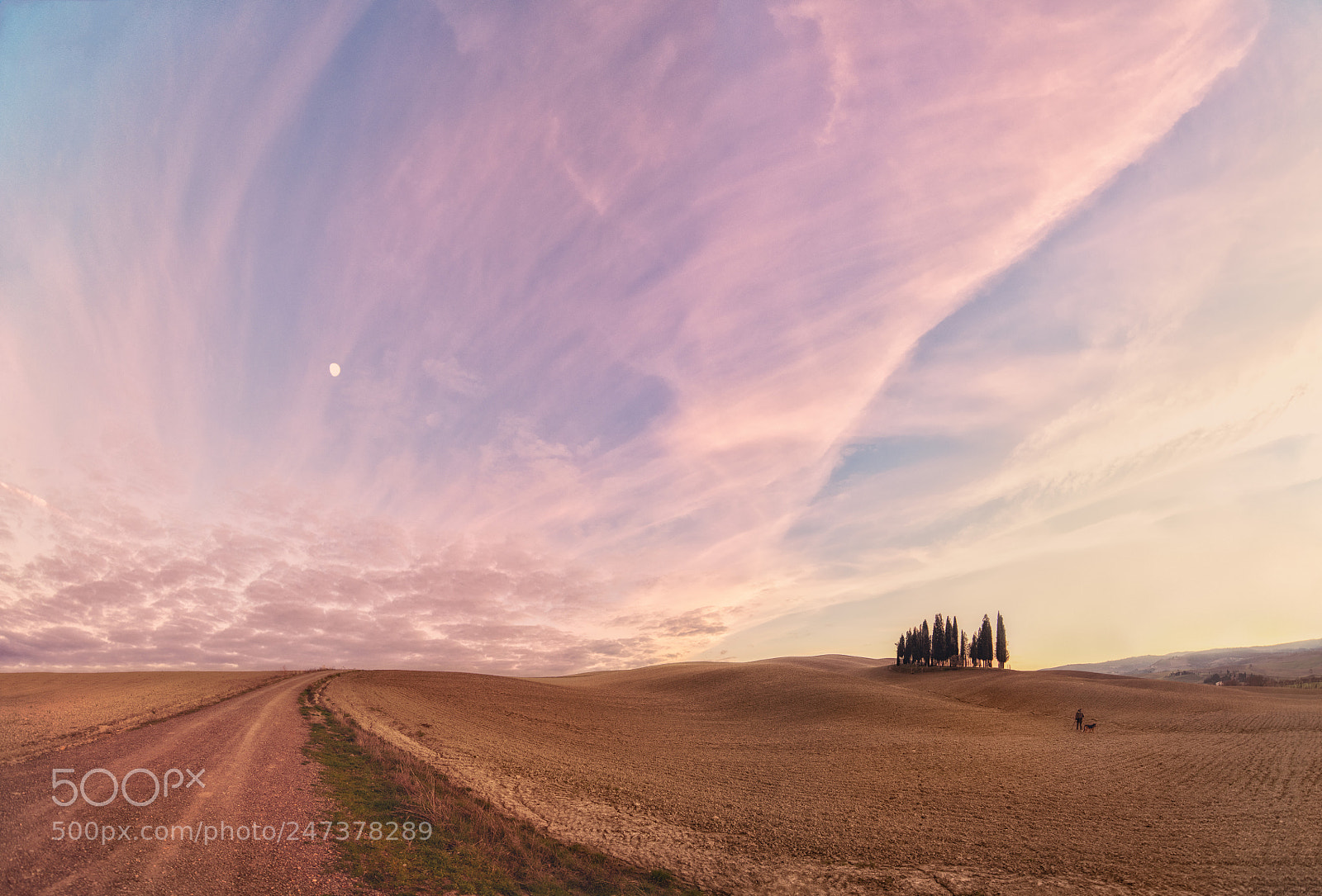 Nikon D850 sample photo. Toscana's beauty photography