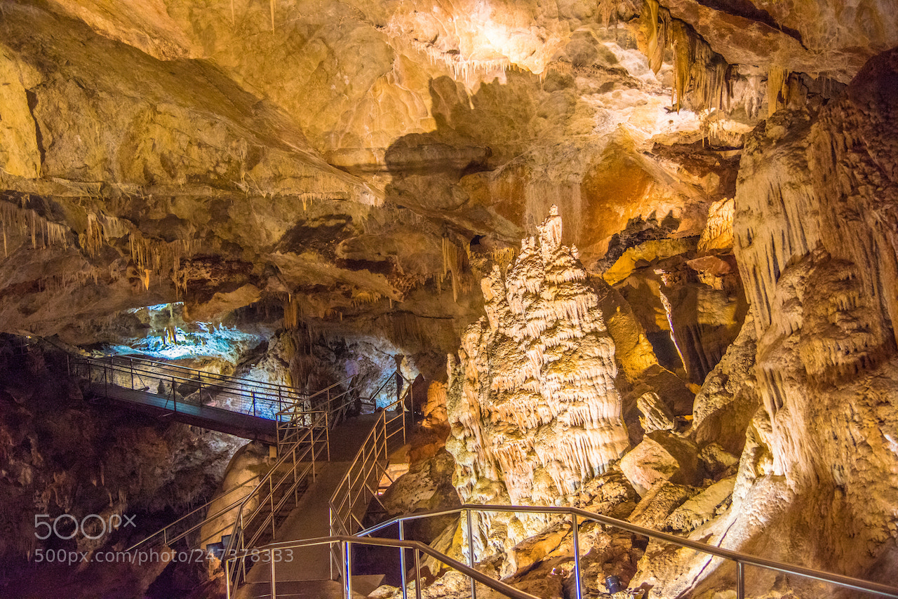 Nikon D810 sample photo. The cave path photography