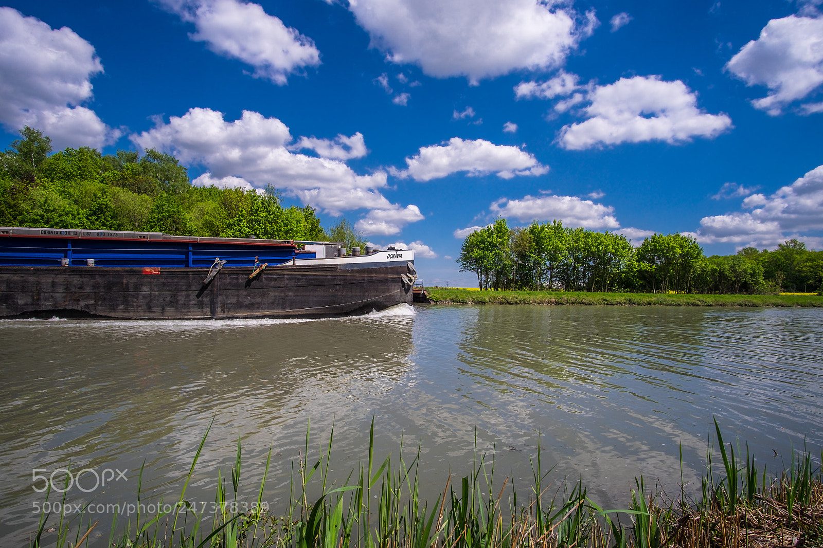 Fujifilm X-T1 sample photo. Sommer photography
