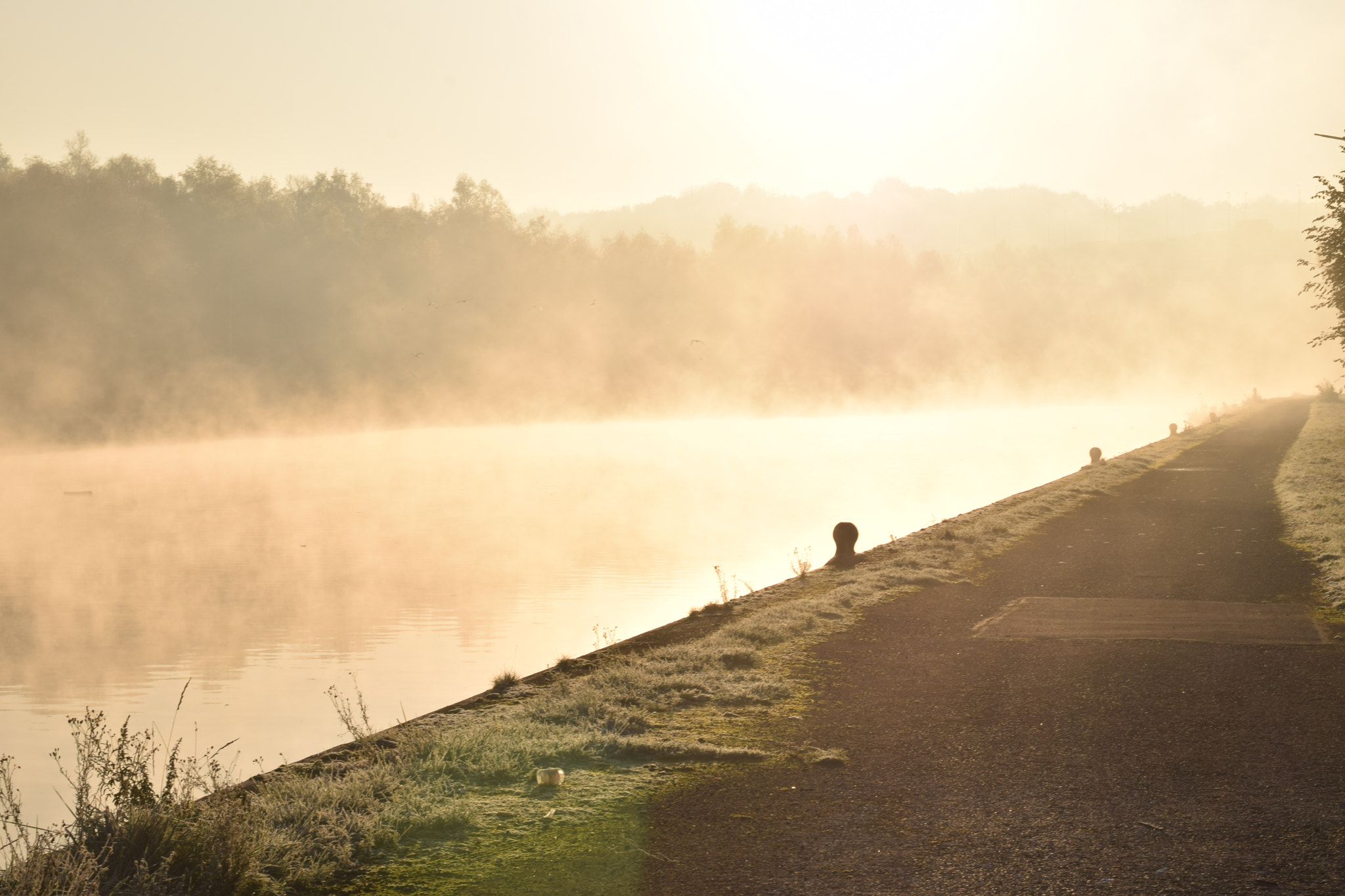 Nikon AF-S Nikkor 50mm F1.8G sample photo. Brume prairie () photography