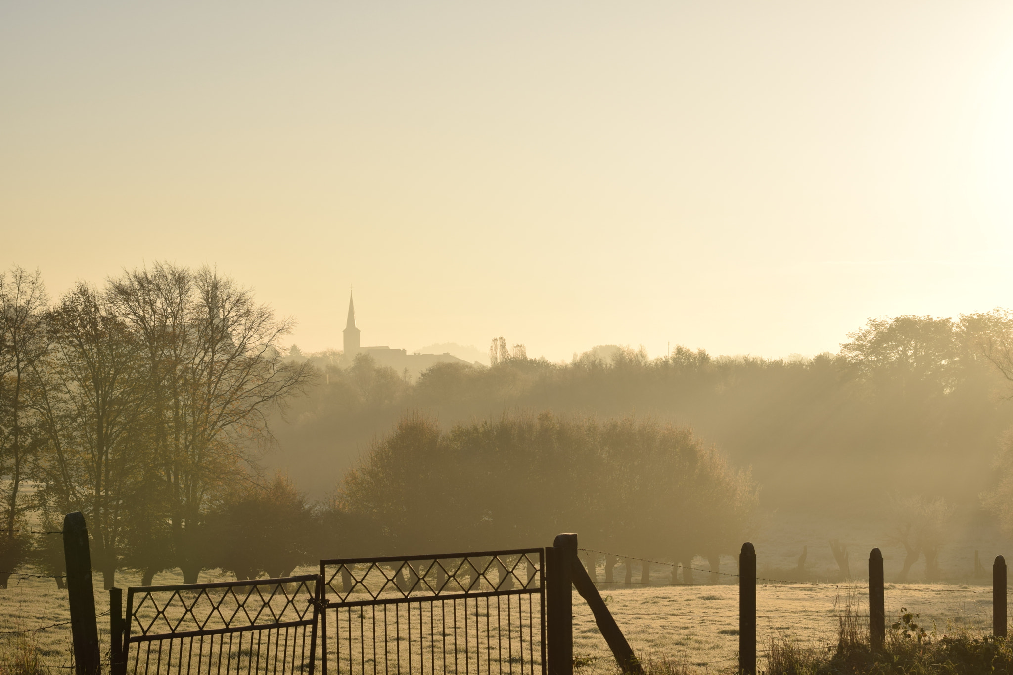 Nikon AF-S Nikkor 50mm F1.8G sample photo. Brume prairie () photography