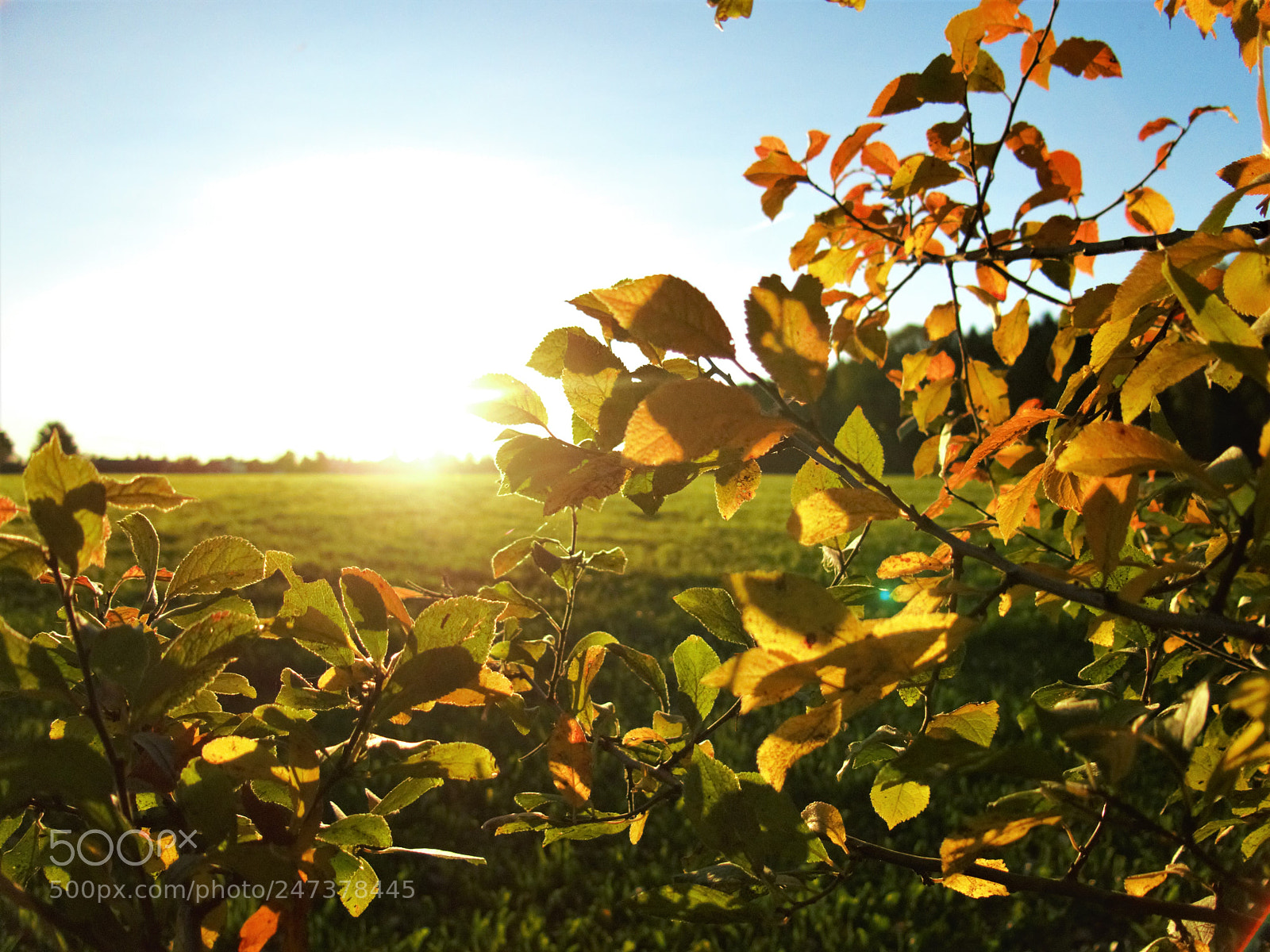 Canon PowerShot G15 sample photo. The rising autumn sun photography