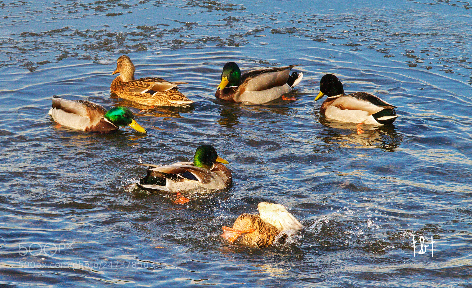 Canon EOS 7D sample photo. Untitled photography