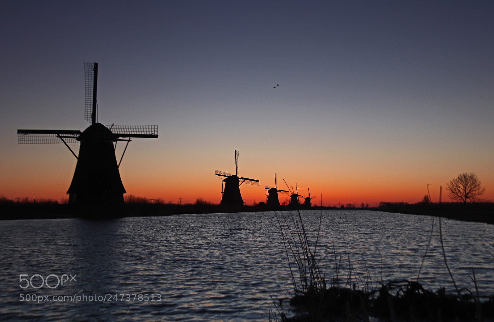 Canon EOS 800D (EOS Rebel T7i / EOS Kiss X9i) sample photo. Kinderdijk blue hour photography