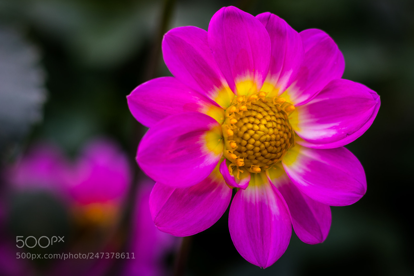 Canon EOS 77D (EOS 9000D / EOS 770D) sample photo. Untitled photography