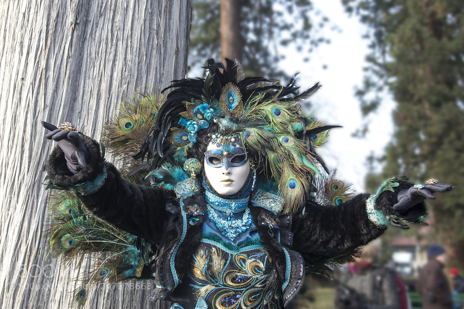 Canon EOS 77D (EOS 9000D / EOS 770D) sample photo. Carnaval 3 photography