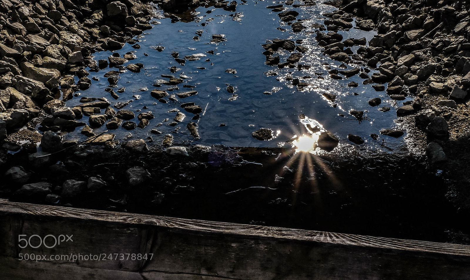 Fujifilm X-T1 sample photo. Star in the water photography