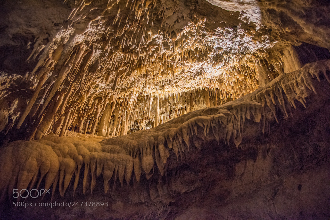 Nikon D810 sample photo. Stalactites photography