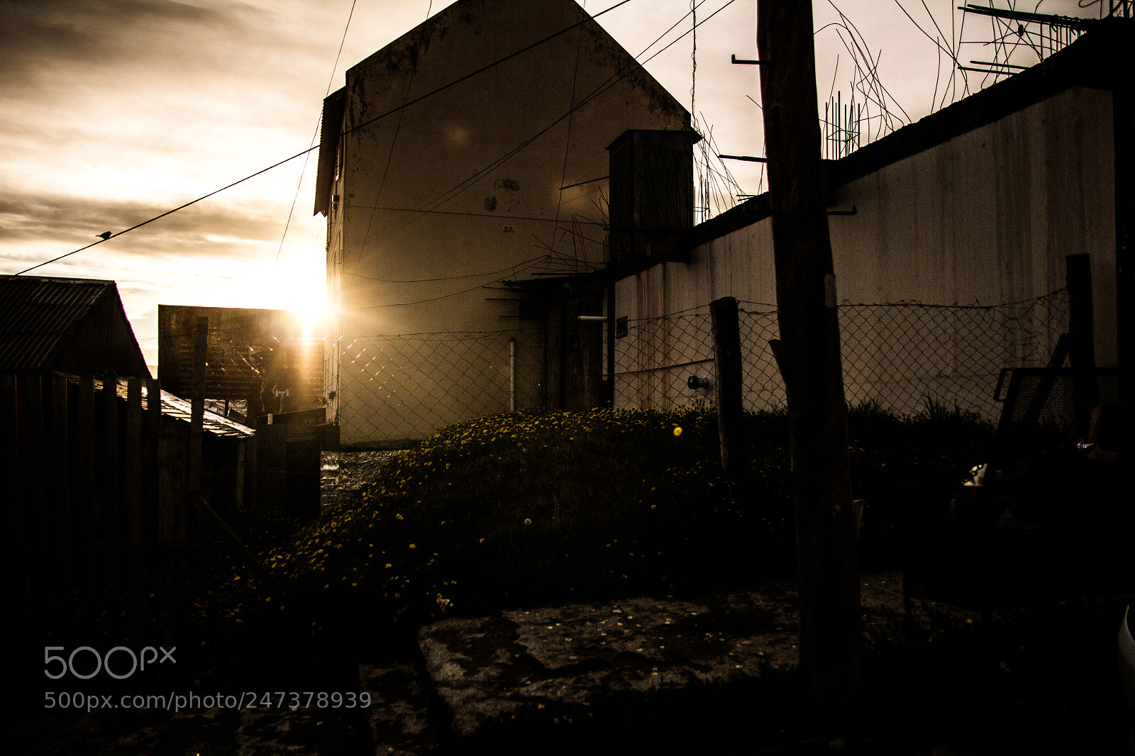 Canon EOS 600D (Rebel EOS T3i / EOS Kiss X5) sample photo. Atardecer en casa photography