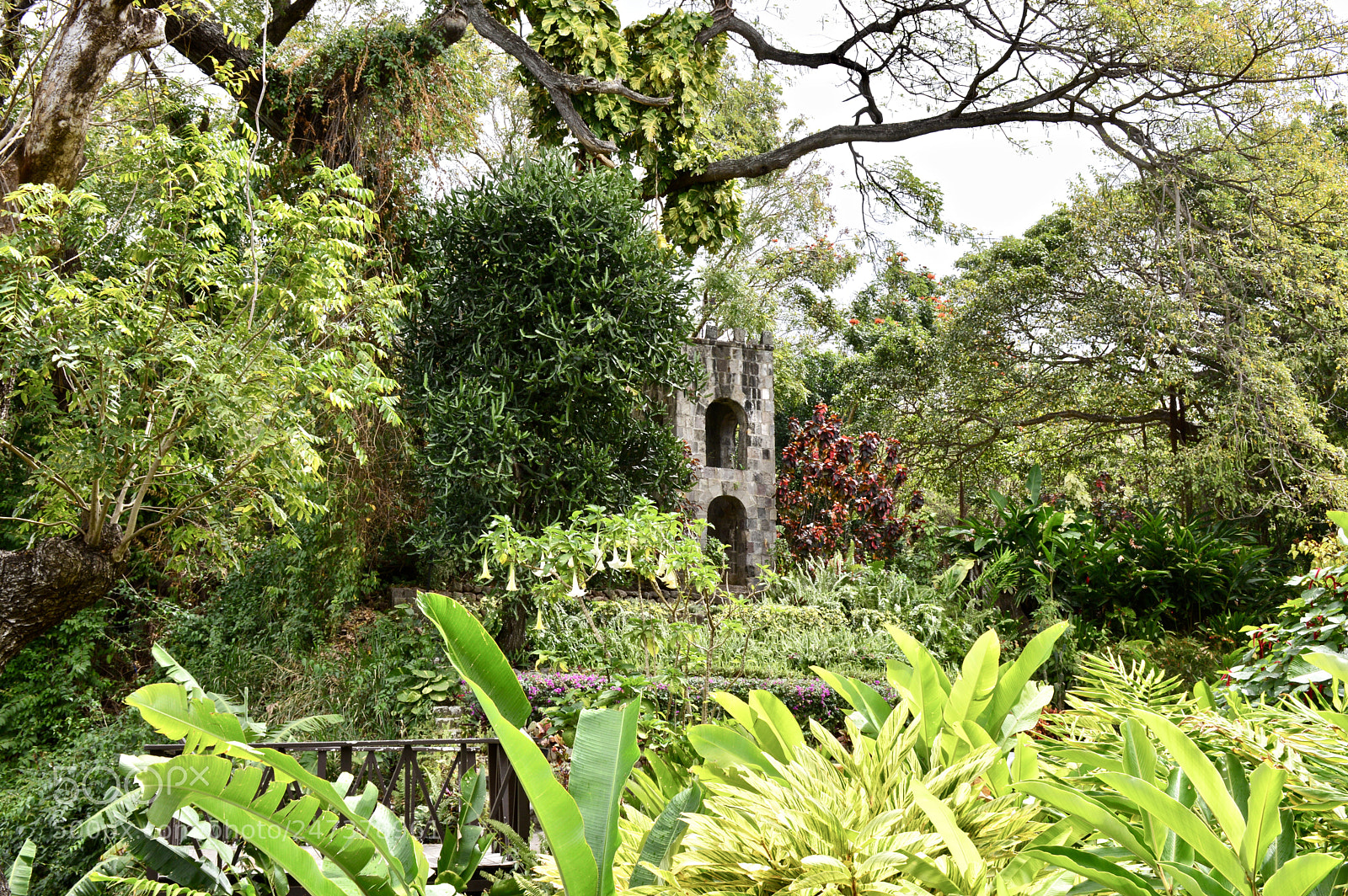 Nikon D3200 sample photo. Romney manor, st. kitts photography