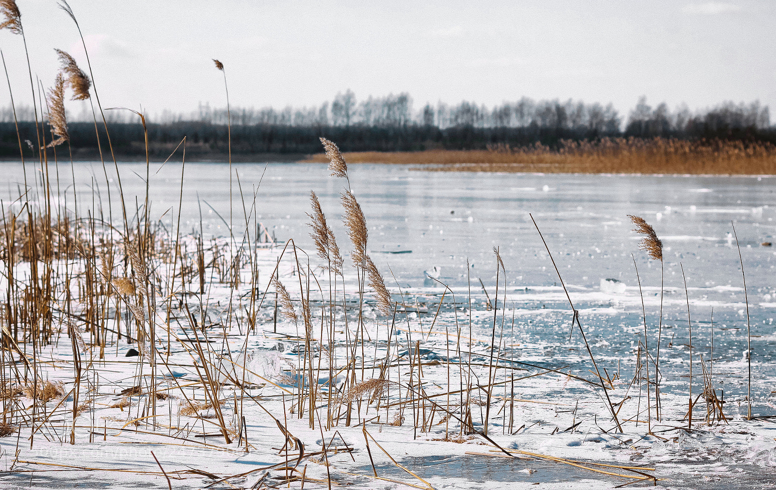 Canon EOS 50D sample photo. Winter in poland photography