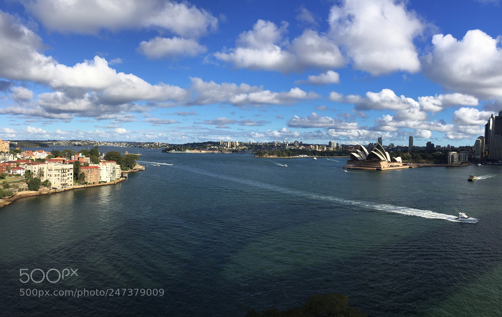 Apple iPhone 6 sample photo. View from sydney harbor photography