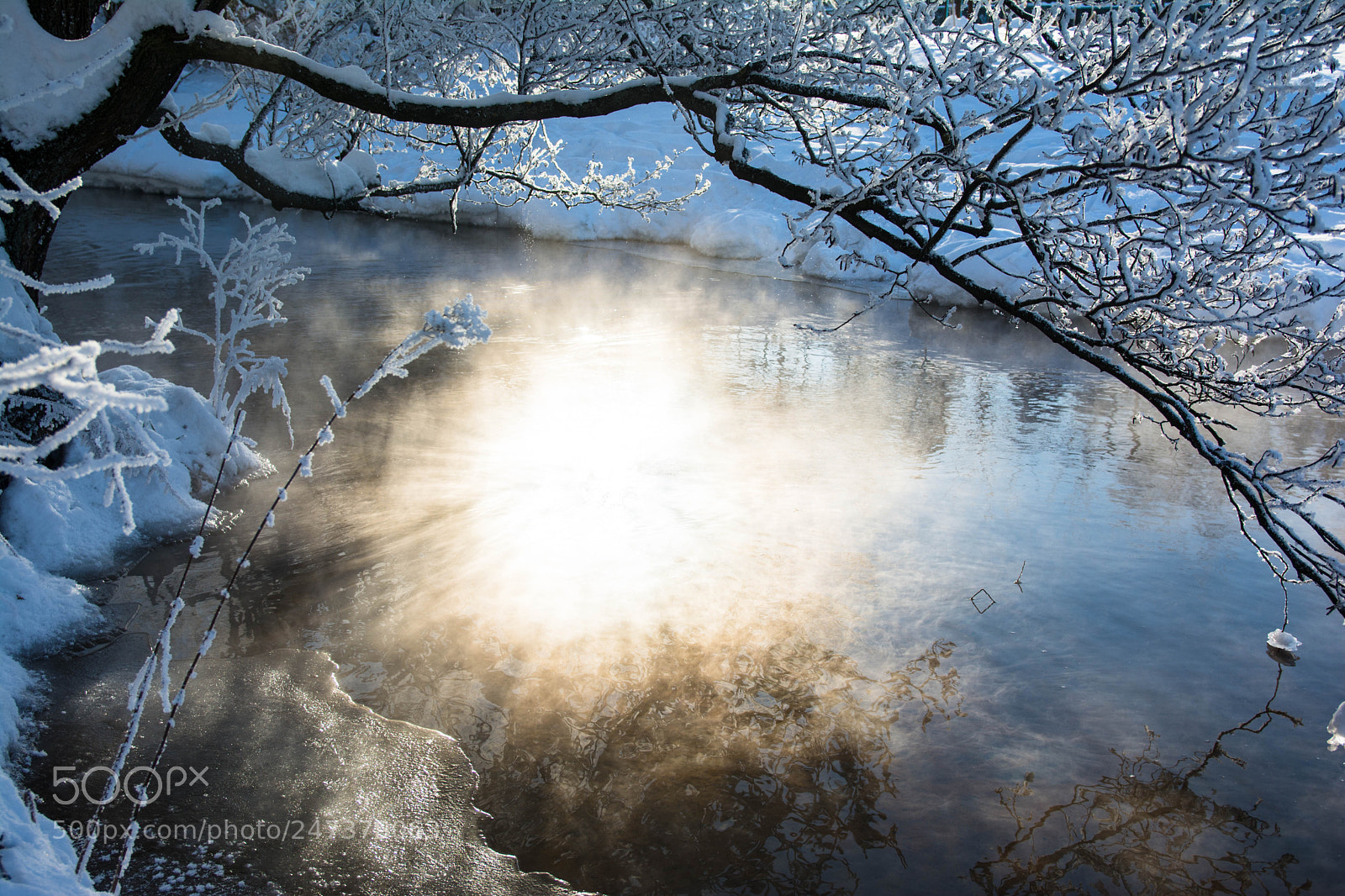 Nikon D7100 sample photo. Cold winter morning photography
