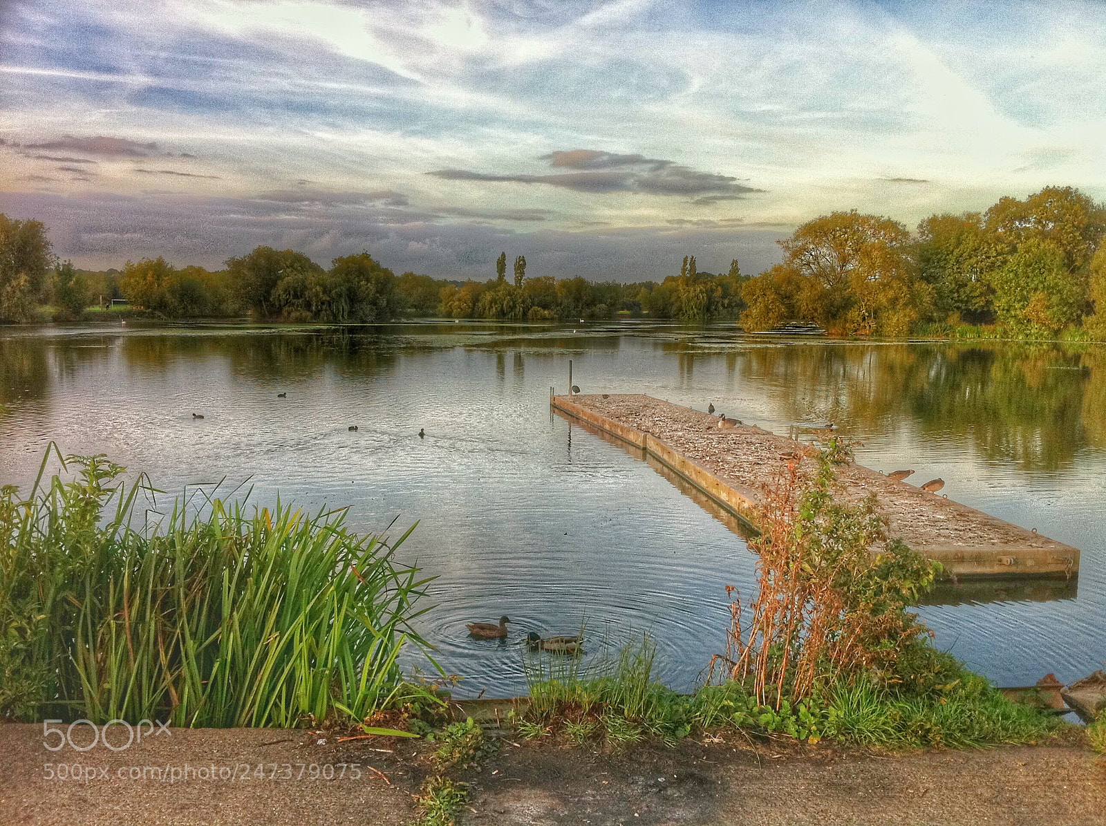 Apple iPhone 4 sample photo. Roding valley lake photography