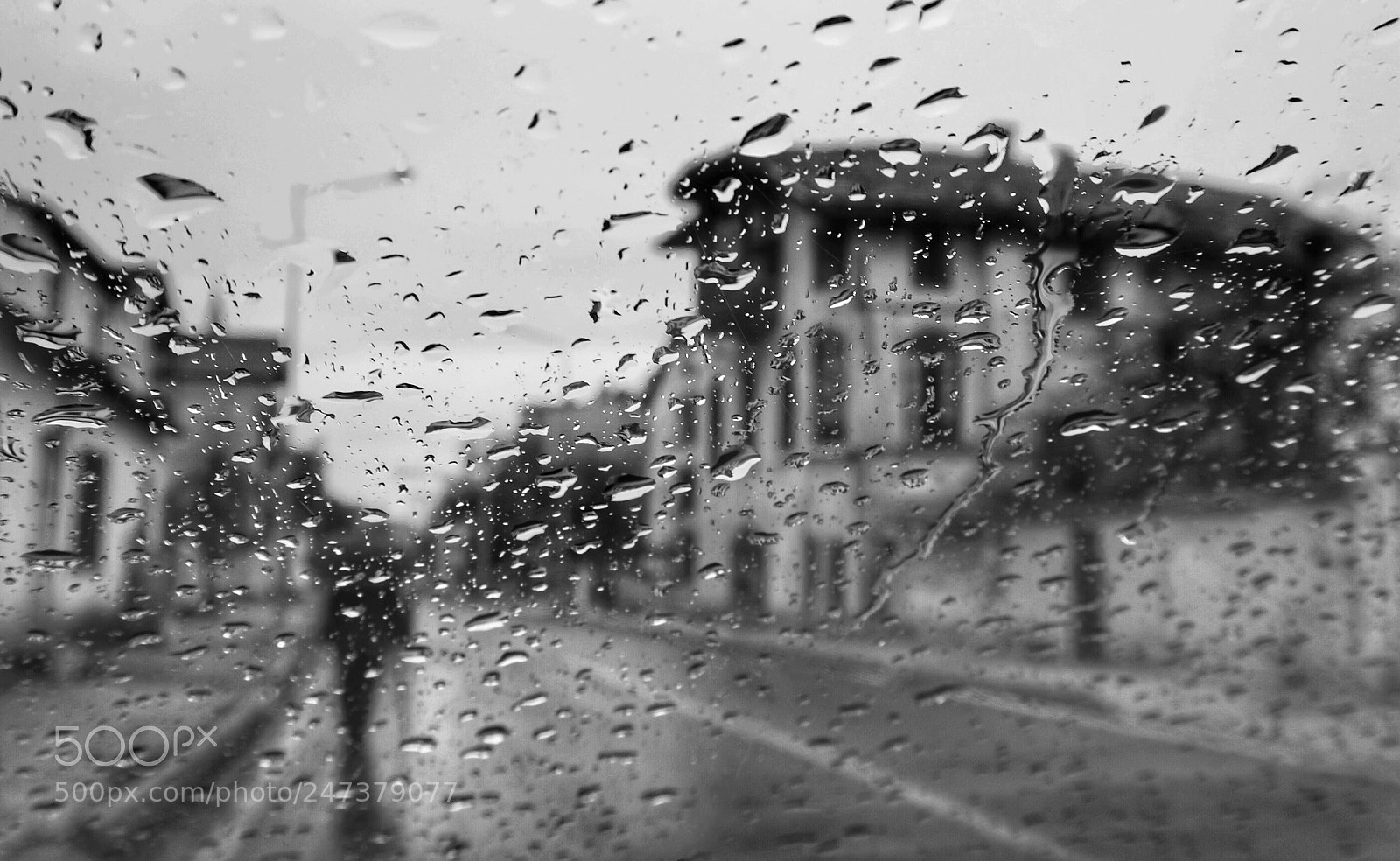 Canon PowerShot G7 X Mark II sample photo. Untitled photography