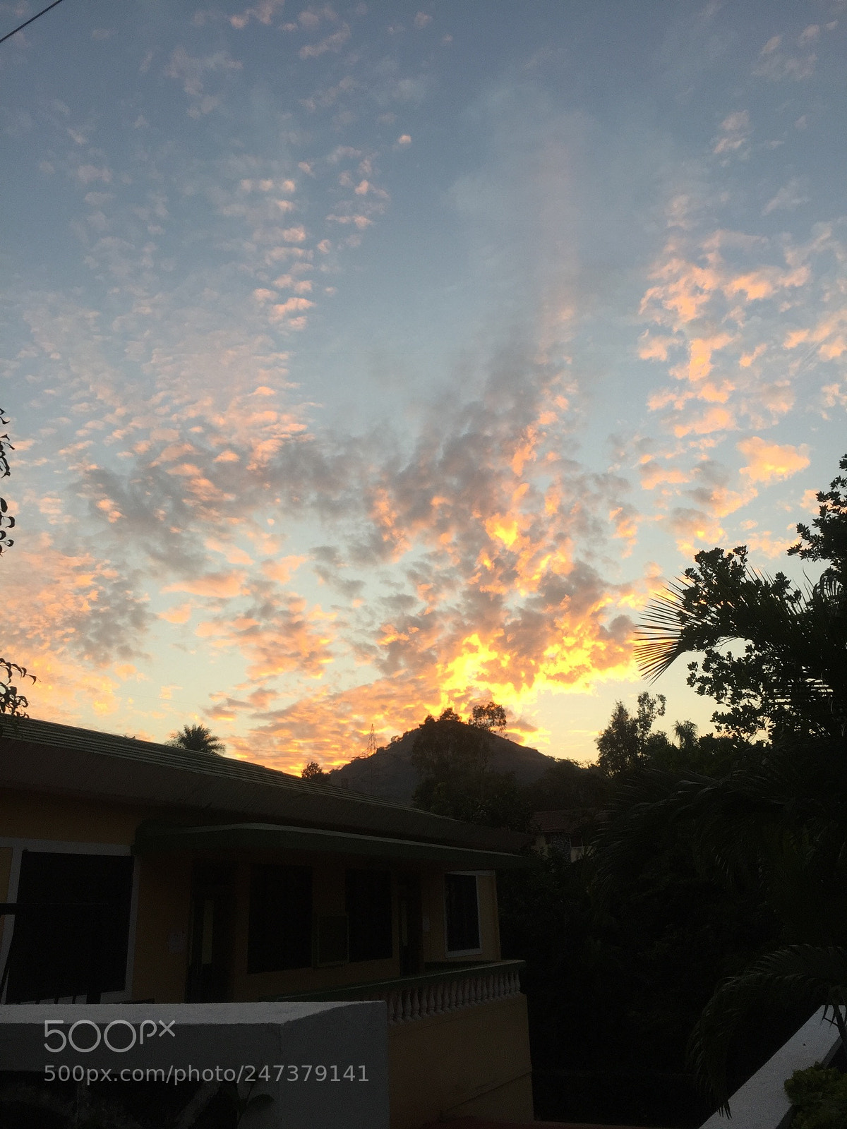 Apple iPhone 6 Plus sample photo. Evening sunset photography