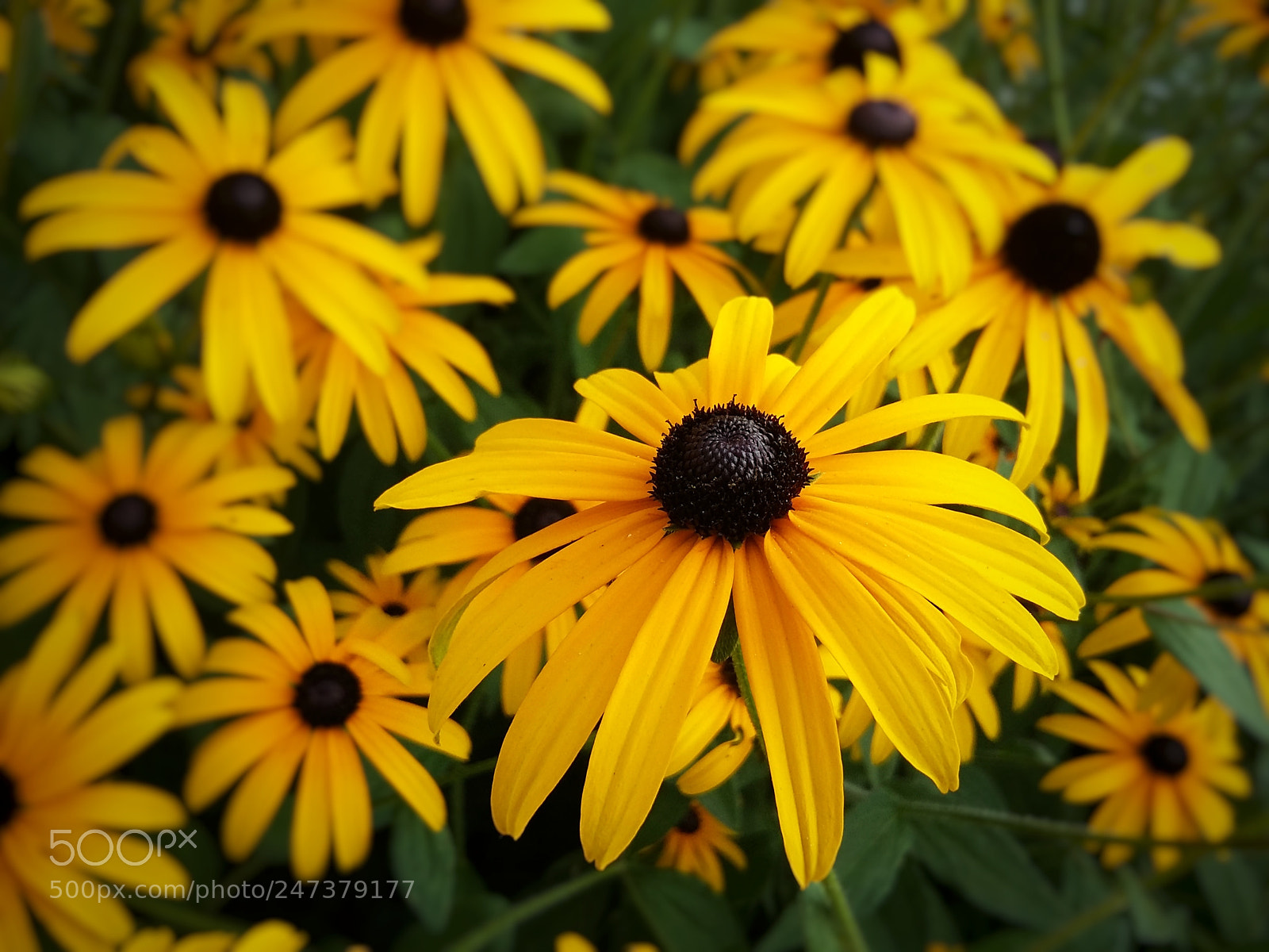 Samsung Galaxy Grand Prime sample photo. 20170829_173417-01.jpeg photography