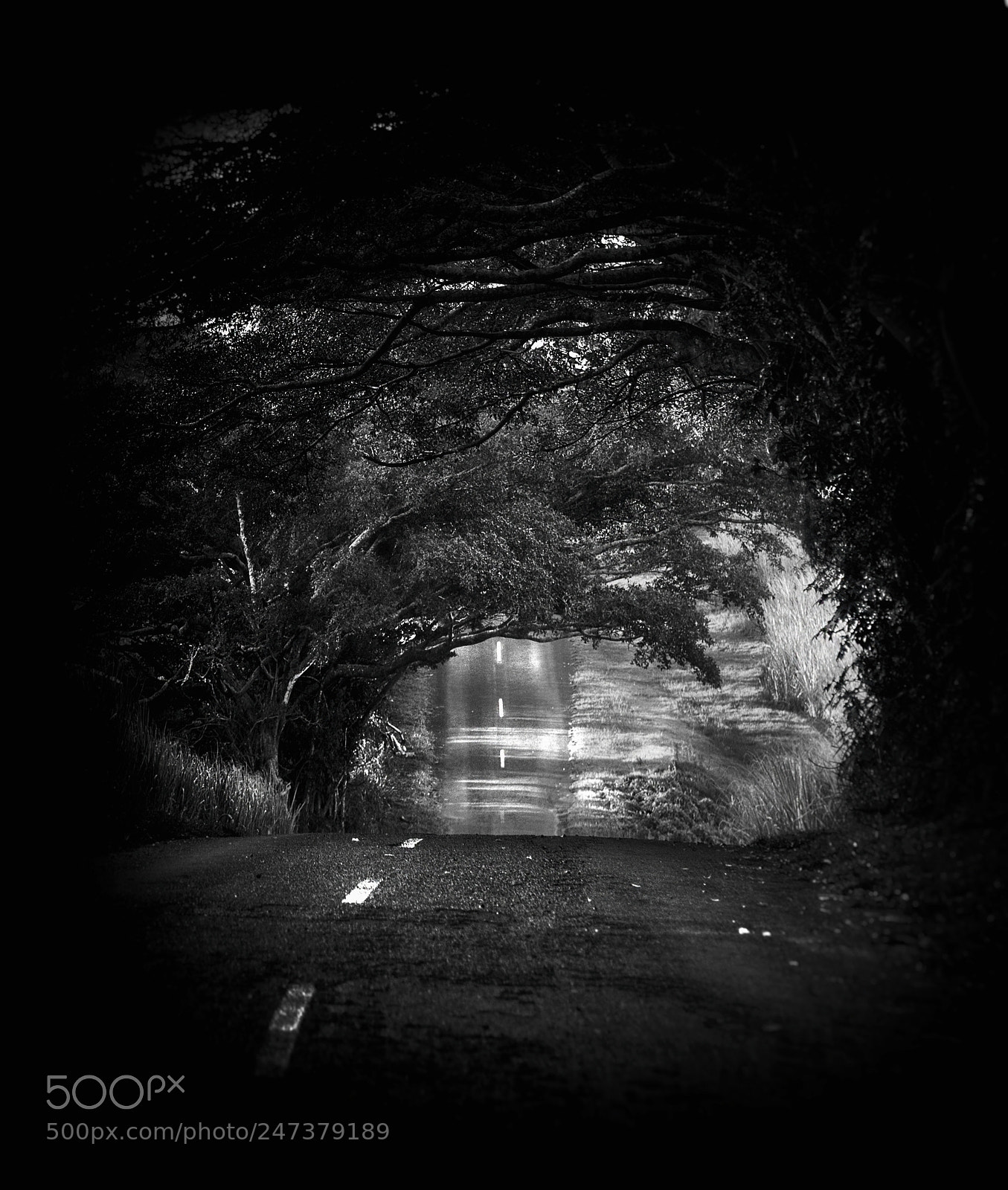 Nikon D610 sample photo. Tunnelvision 2 photography