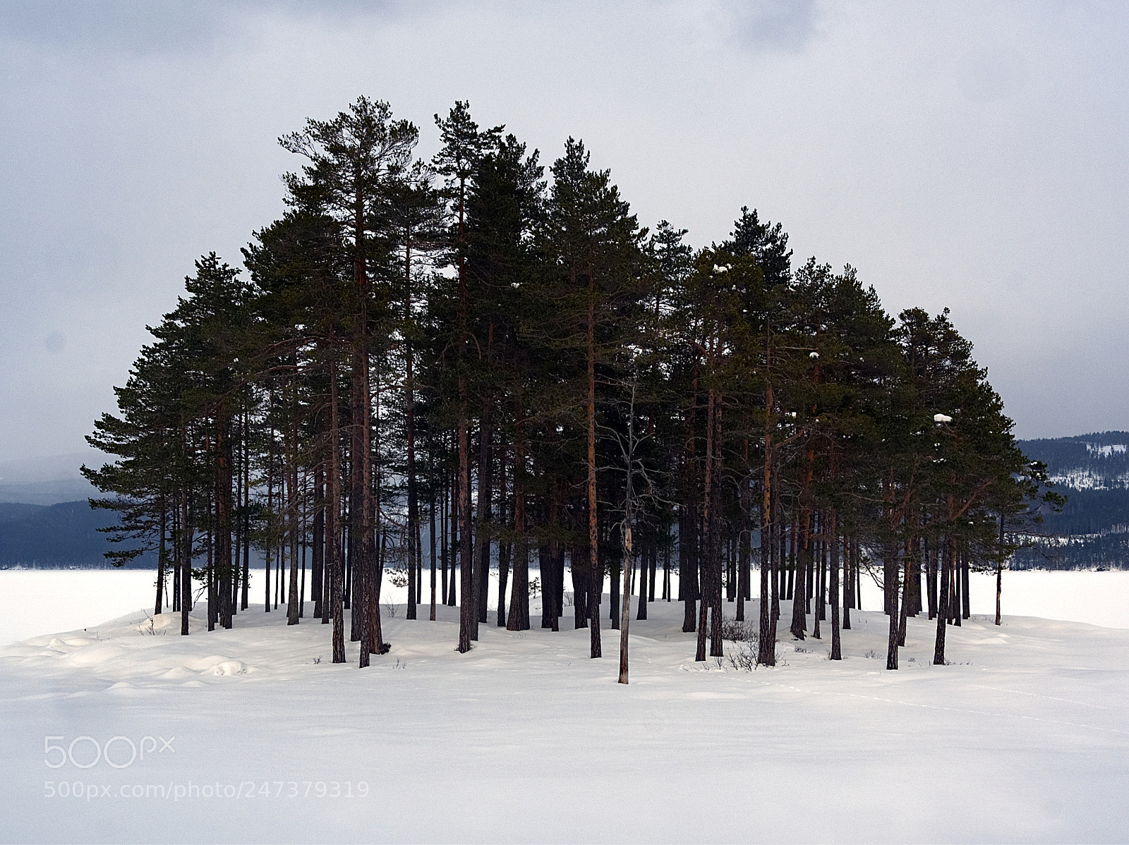 Olympus OM-D E-M5 II sample photo. Island in the snow photography