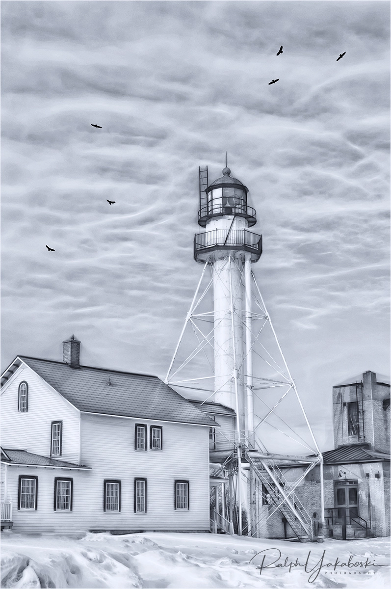 Nikon D2Xs sample photo. Whitefish point michigan monochrome photography