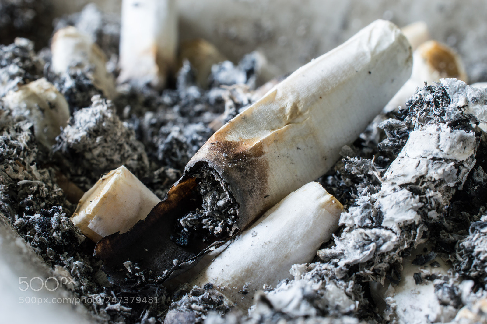 Nikon D3200 sample photo. Cigaretts bad habit photography