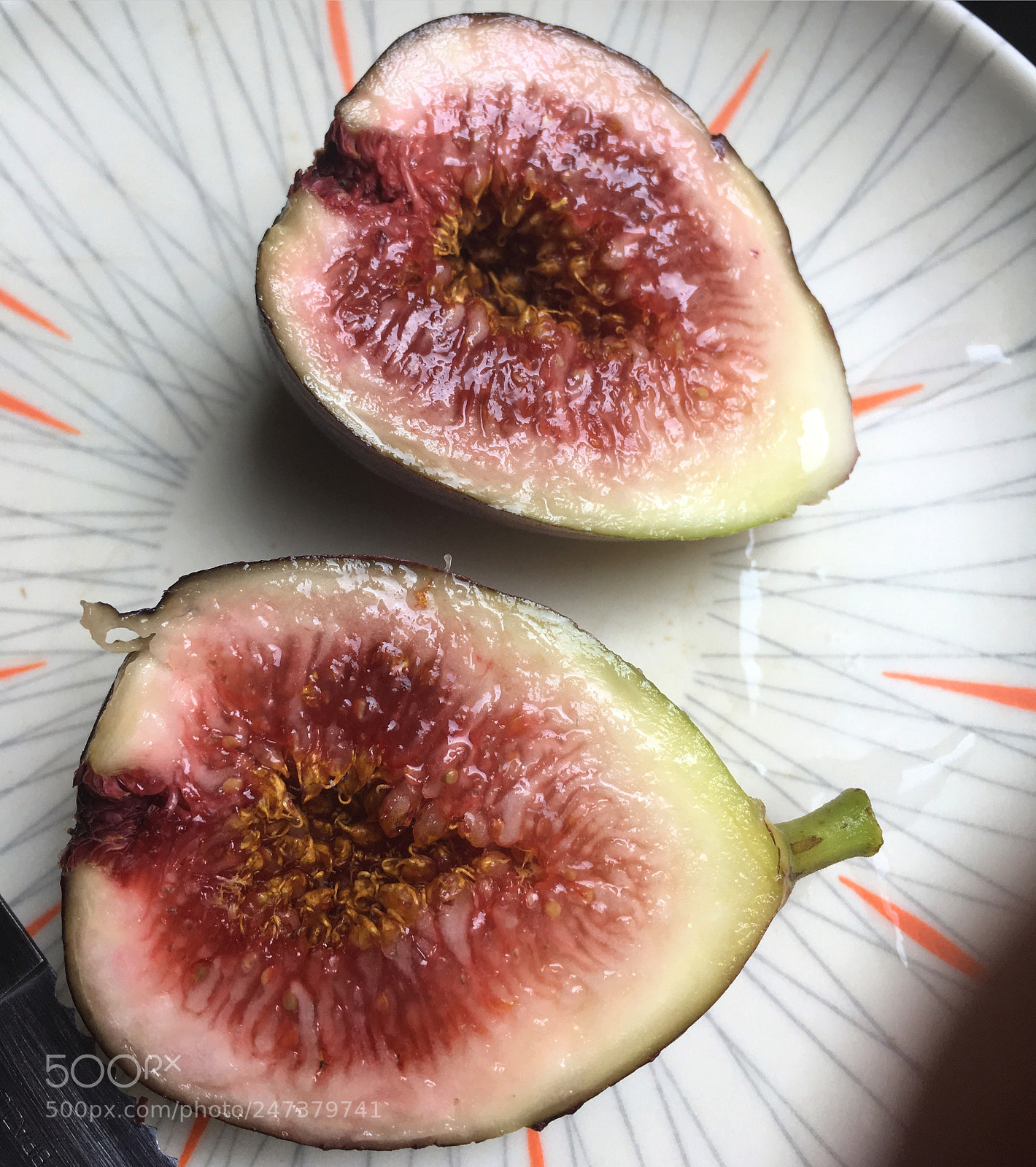 Apple iPhone SE sample photo. Fig i just picked photography