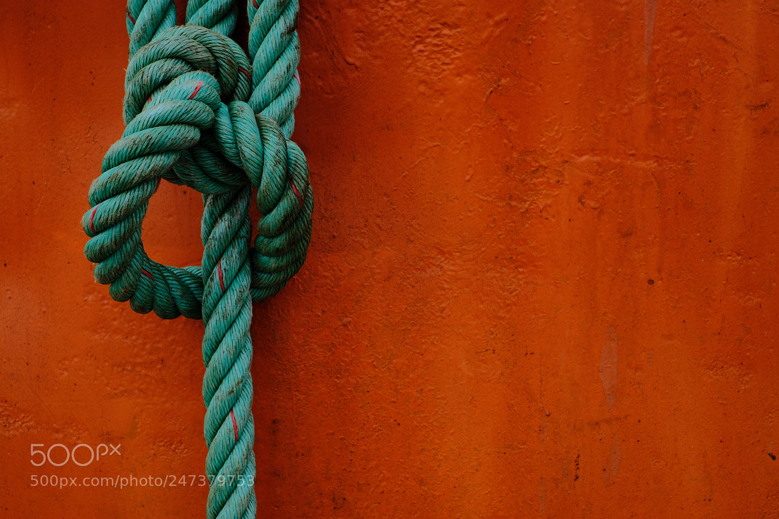 Fujifilm X-Pro2 sample photo. Tied photography