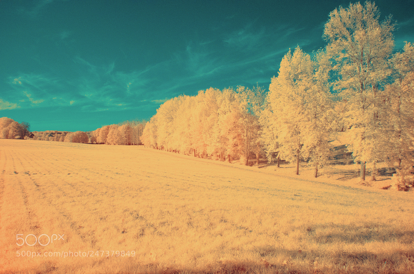 Nikon D5100 sample photo. Modifier photography