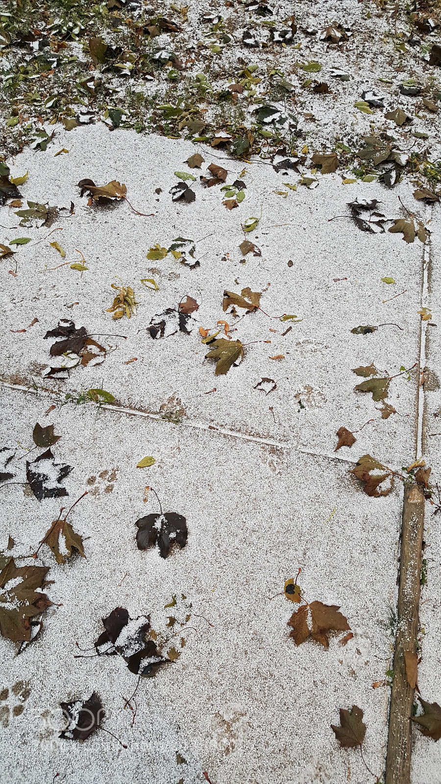 Samsung Galaxy Note5 sample photo. 24446654388.jpg photography