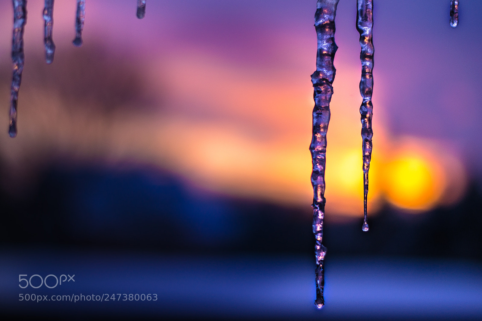 Nikon D3100 sample photo. Best of winter photography
