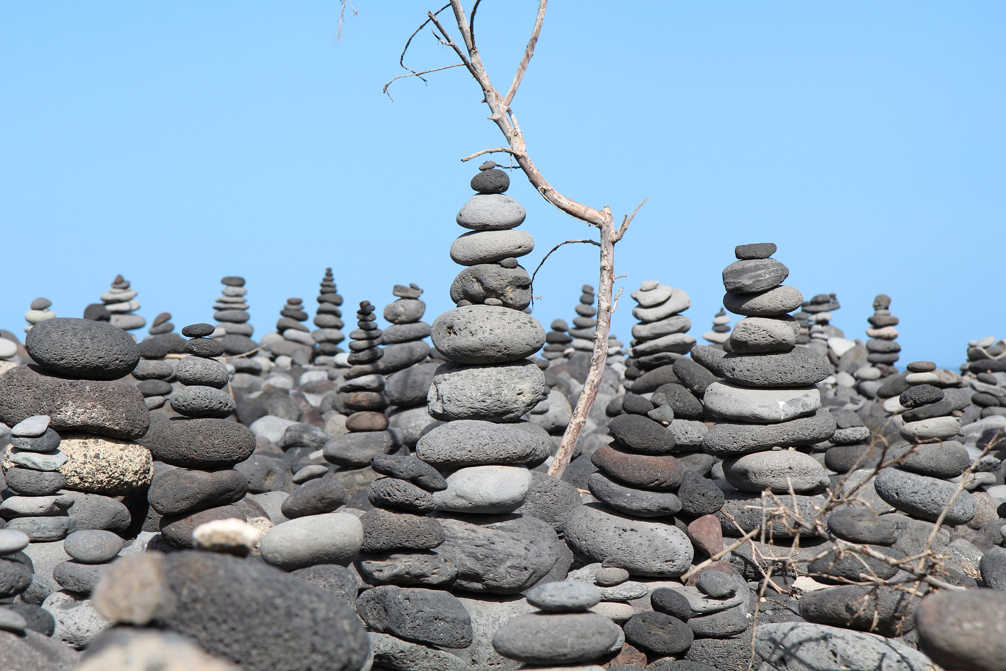 Canon EF-S 17-55mm F2.8 IS USM sample photo. Puerto de la cruz, teneriffa, spain photography