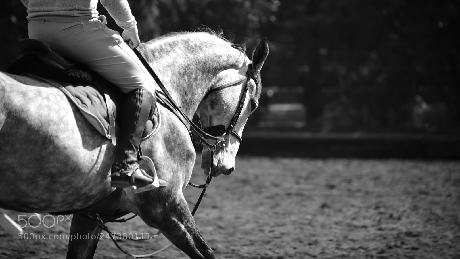 Canon EOS 6D Mark II sample photo. He pasado muchos a photography
