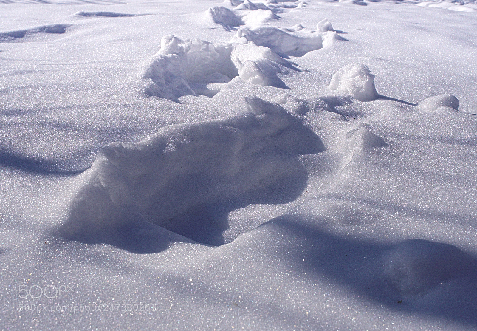 Olympus PEN E-PL5 sample photo. Spoors in the snow photography