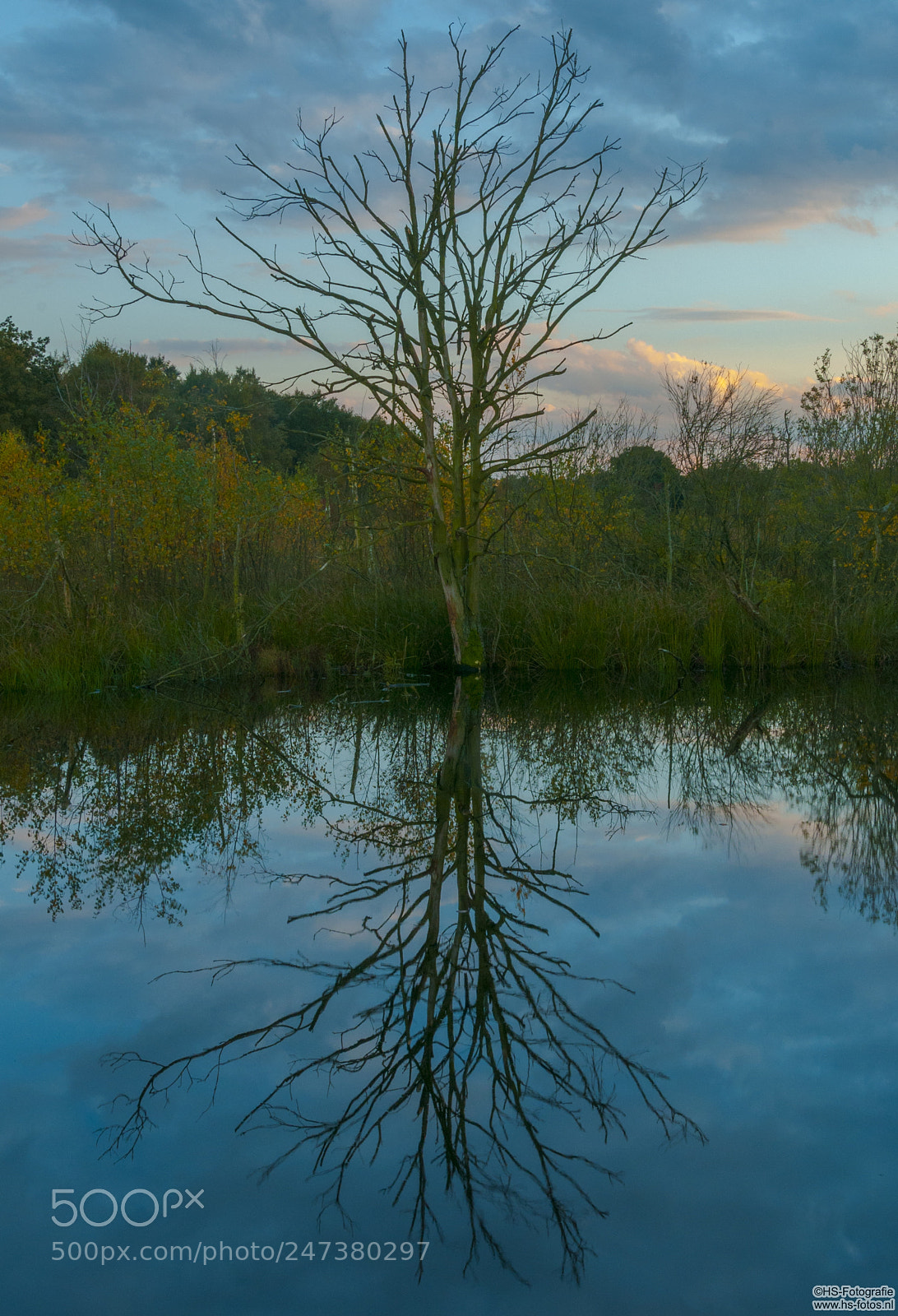 Nikon D300S sample photo. Up and down photography