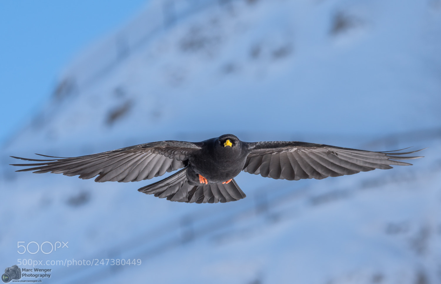 Nikon D500 sample photo. Aerodynamic photography