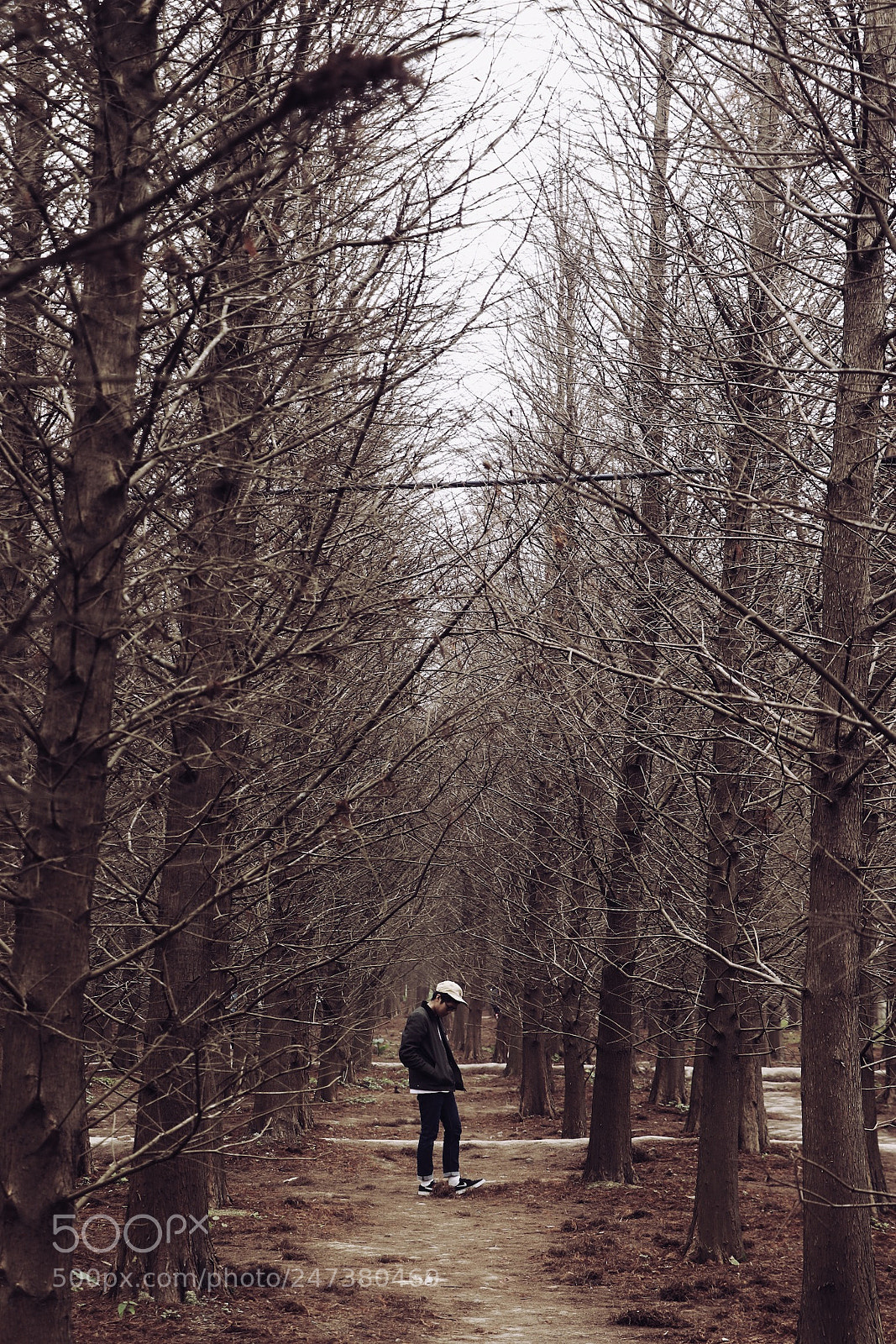 Canon EOS 77D (EOS 9000D / EOS 770D) sample photo. My favorite place in photography