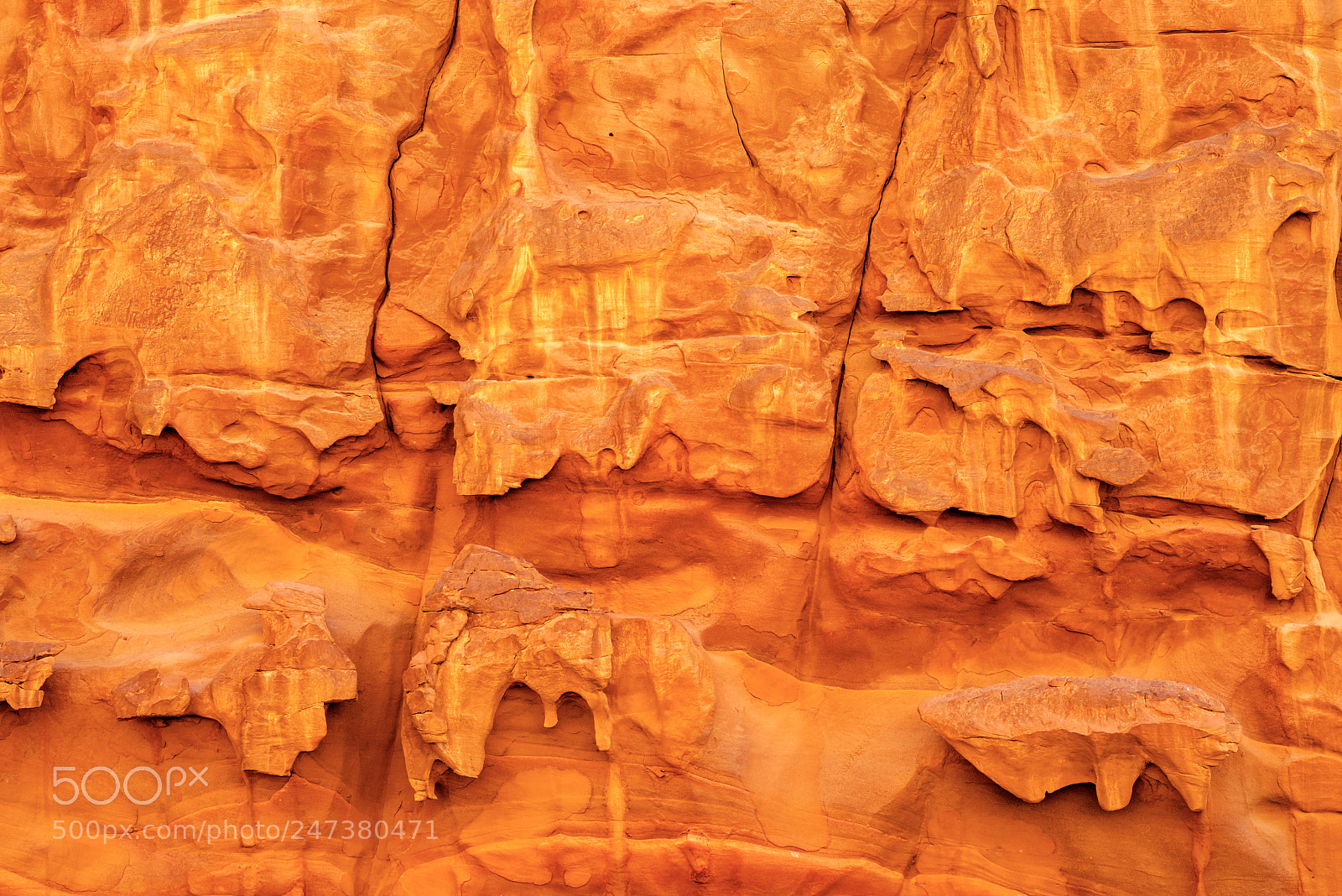 Nikon D800 sample photo. Petra walls photography