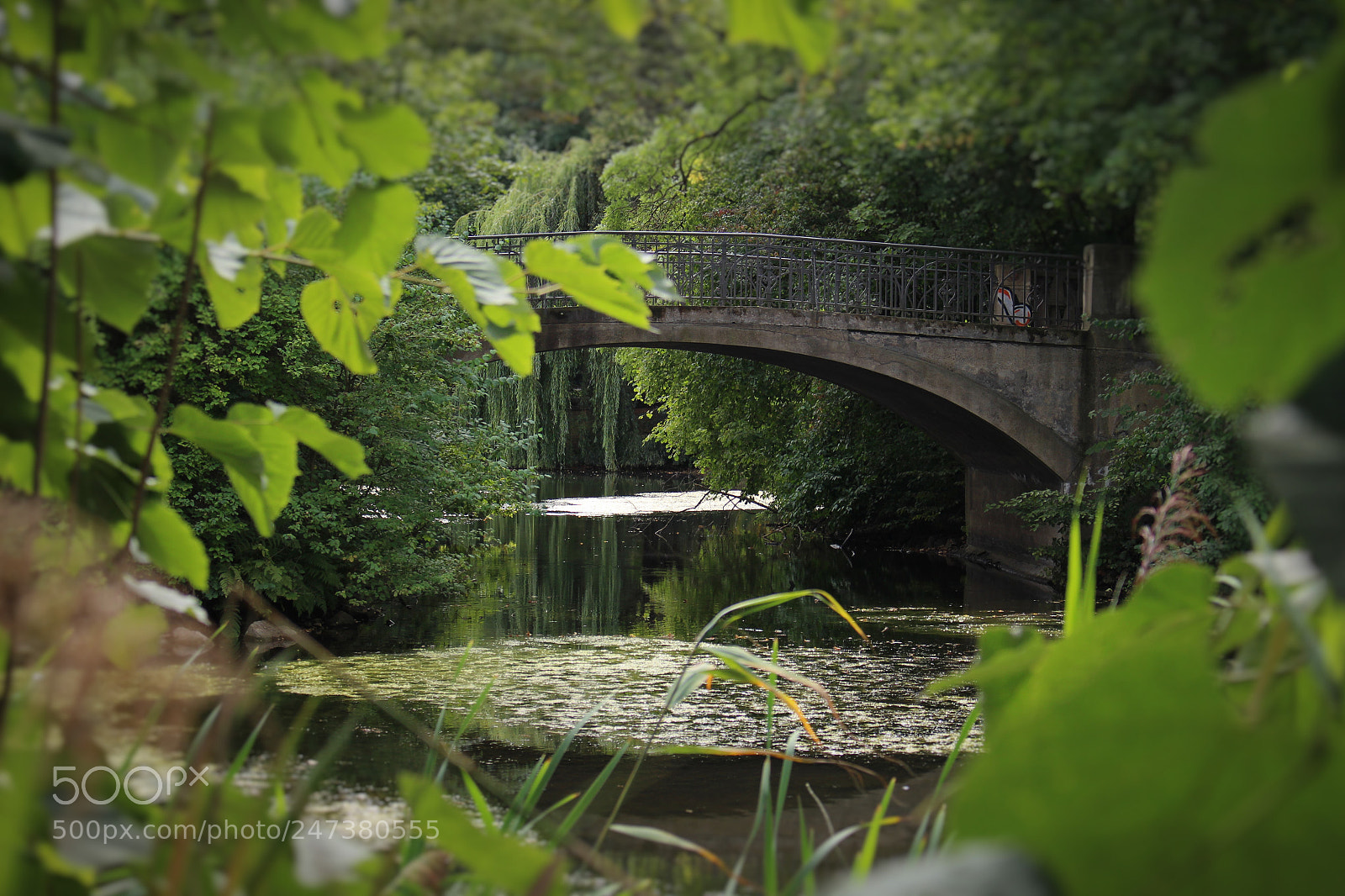 Canon EOS 700D (EOS Rebel T5i / EOS Kiss X7i) sample photo. Brücke photography