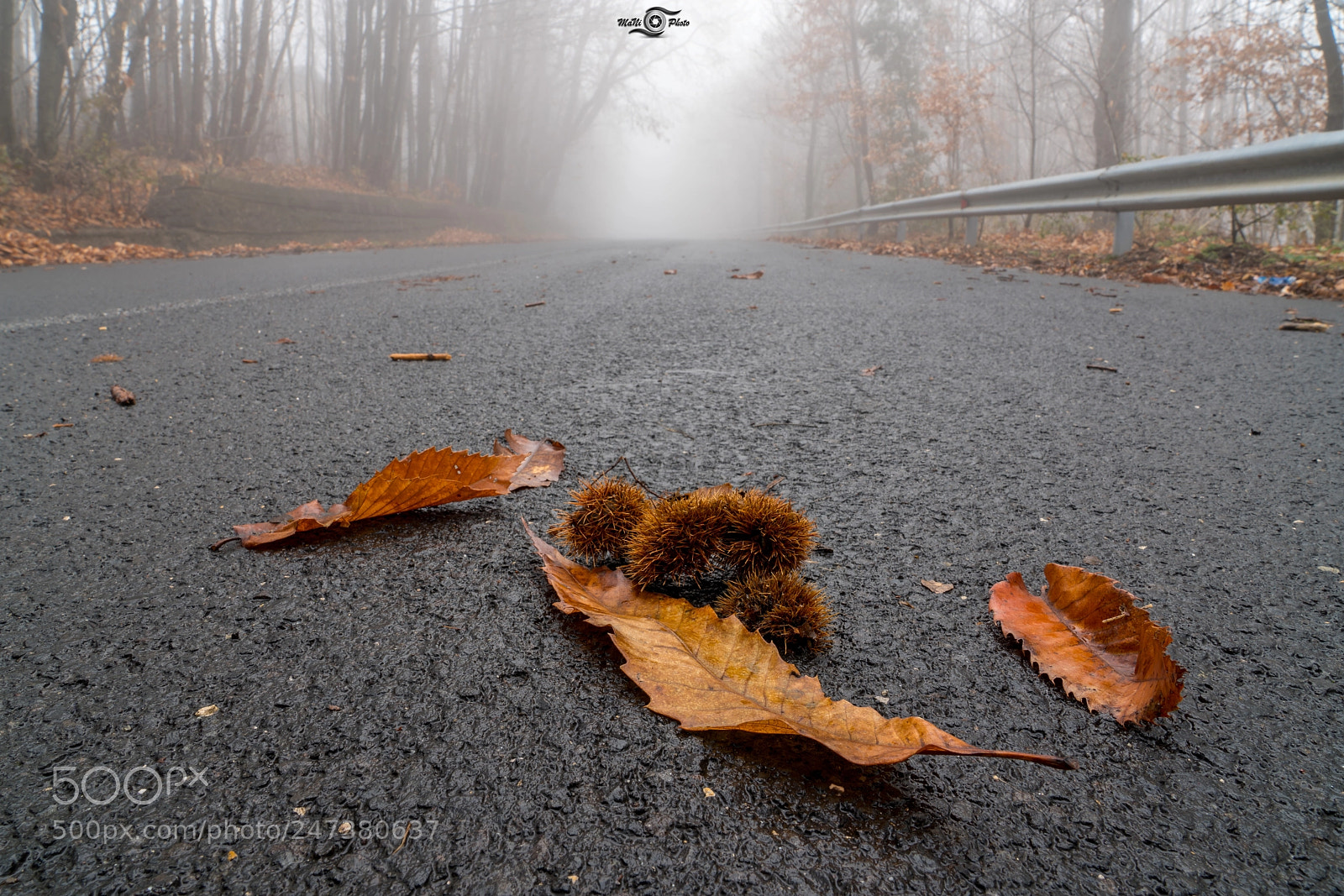 Sony a7R III sample photo. Untitled photography