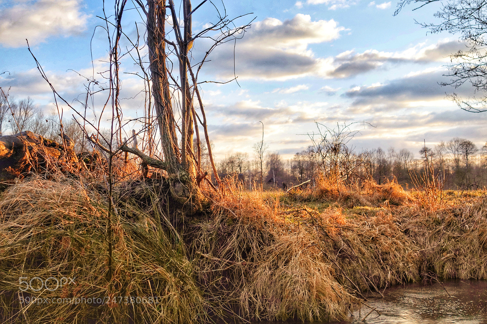 Sony Cyber-shot DSC-RX100 II sample photo. Spreewald im winter photography