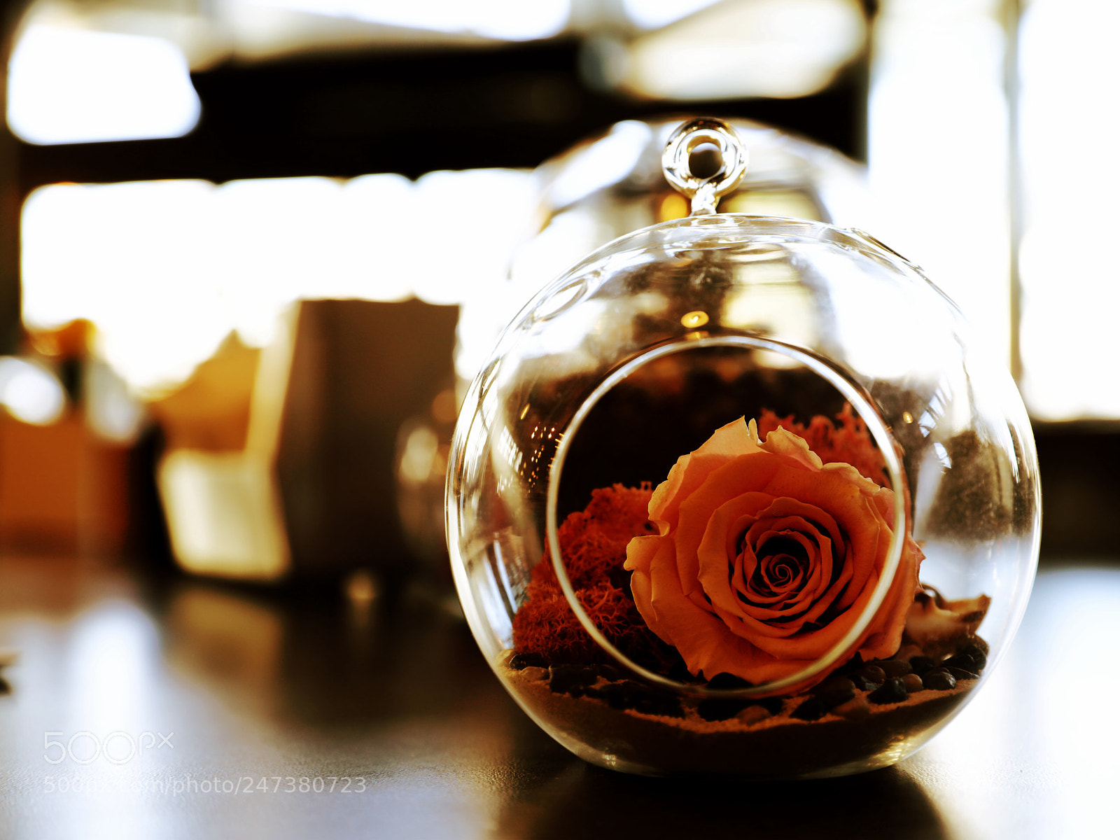 Canon EF 24-70mm F2.8L II USM sample photo. 秀色 photography