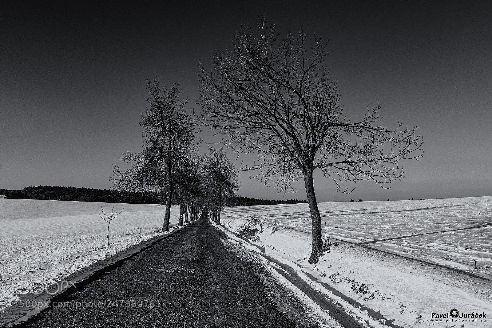 Nikon D5600 sample photo. Vysočinou ... 47. bw photography