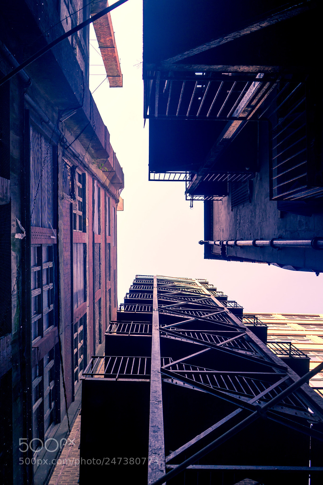 Sony a7 sample photo. Looked up and saw photography