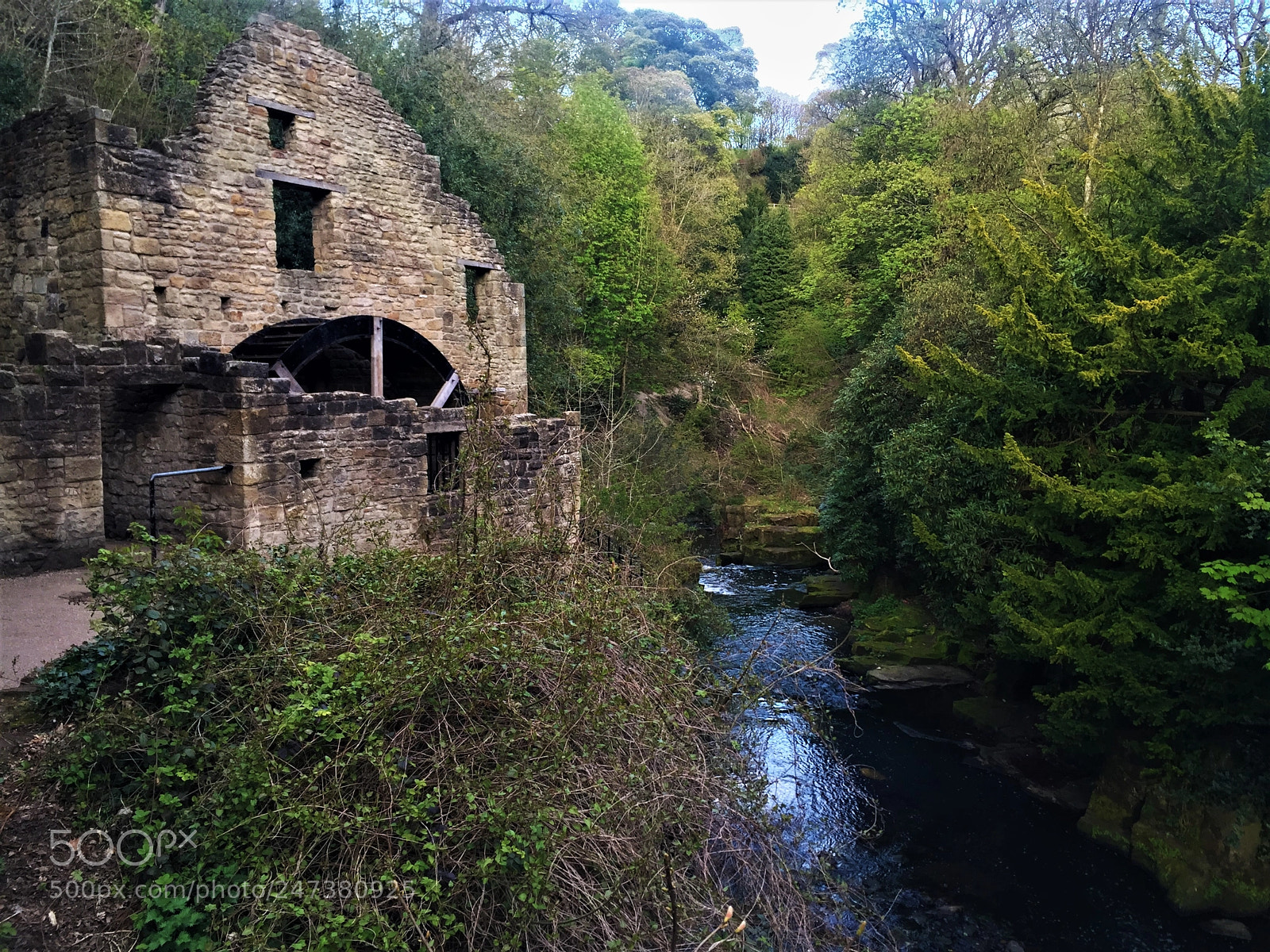 Apple iPhone 6 sample photo. Jesmond dene photography