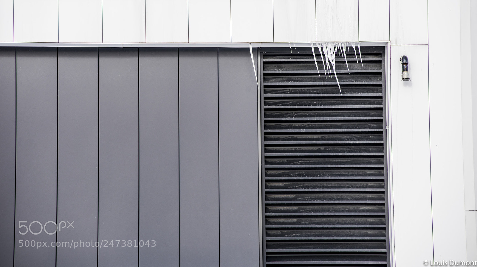 Nikon D810 sample photo. Effet de vent photography