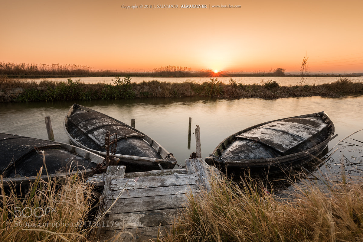 Nikon D810 sample photo. Imagen-02300 photography